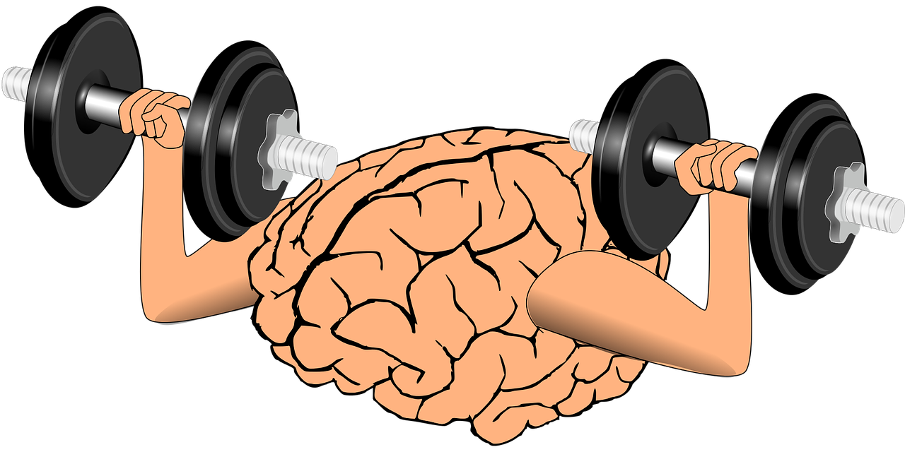 SciPhi MindGym